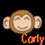 Monkeys icon graphics