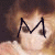 Monkeys icon graphics