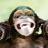Monkeys icon graphics