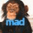 Monkeys icon graphics