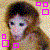 Monkeys icon graphics