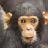 Monkeys icon graphics