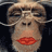 Monkeys icon graphics