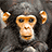 Monkeys icon graphics