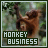Monkeys icon graphics