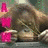 Monkeys icon graphics