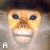 Monkeys icon graphics