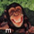 Monkeys icon graphics