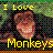 Monkeys icon graphics