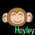 Monkeys icon graphics