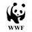 Panda icon graphics