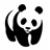 Panda icon graphics