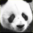 Panda icon graphics