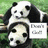 Panda icon graphics