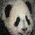 Panda icon graphics