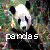 Panda icon graphics