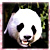 Panda icon graphics