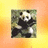 Panda icon graphics