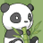 Panda icon graphics