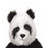Panda icon graphics