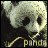 Panda icon graphics