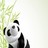 Panda icon graphics