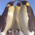 Penguin icon graphics