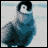 Penguin icon graphics