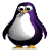 Penguin icon graphics