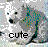 Polar bear icon graphics