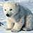 Polar bear icon graphics