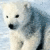 Polar bear icon graphics