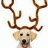 Puppy icon graphics