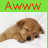 Puppy icon graphics