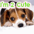 Puppy icon graphics