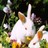 Rabbits icon graphics