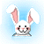 Rabbits icon graphics
