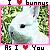 Rabbits icon graphics