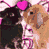Rabbits icon graphics