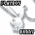 Rabbits icon graphics