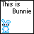 Rabbits icon graphics