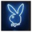 Rabbits icon graphics