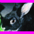 Rabbits icon graphics