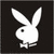 Rabbits icon graphics