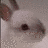 Rabbits icon graphics