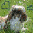 Rabbits icon graphics