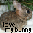 Rabbits icon graphics