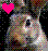 Rabbits icon graphics