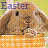 Rabbits icon graphics