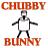 Rabbits icon graphics